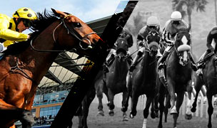 horse racing betting