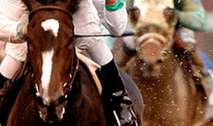 legal horse betting online