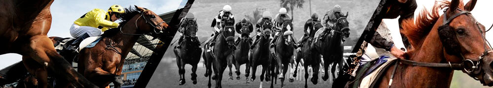 horse racing betting