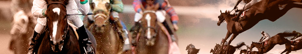 legal horse betting online
