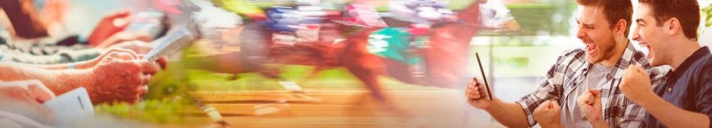 horse racing bookmakers