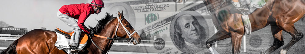 horse racing betting online
